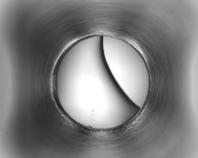 X0000096431048200801241020