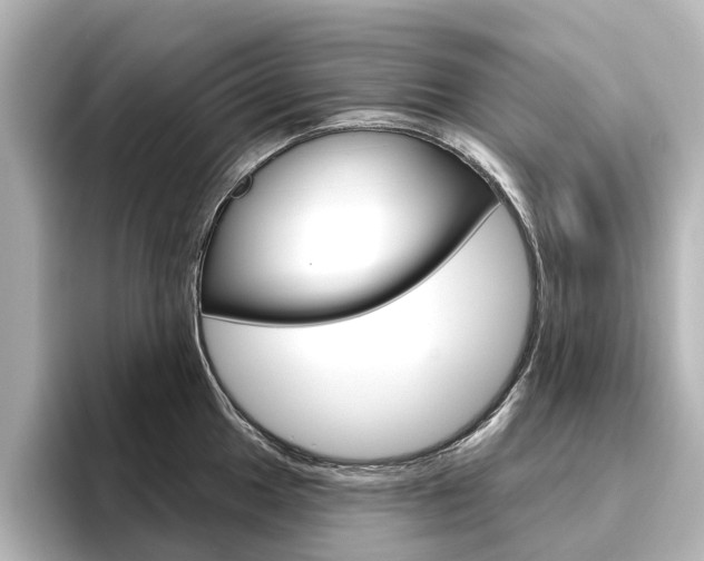 X0000096431049200801241020