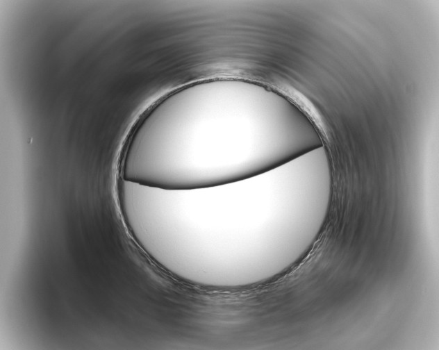 X0000096431051200801241020