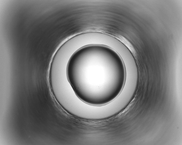 X0000096431052200801241020