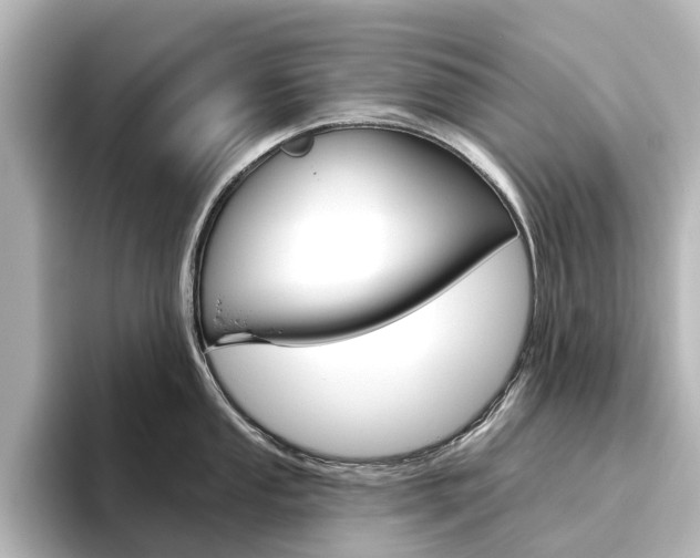 X0000096431053200801241020