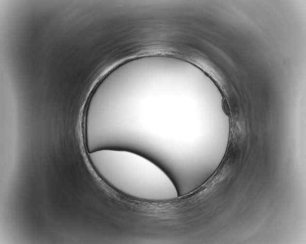 X0000096431055200801241020
