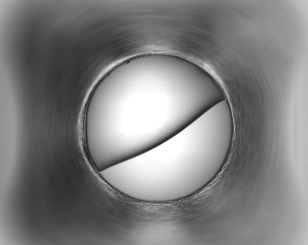 X0000096431056200801241020