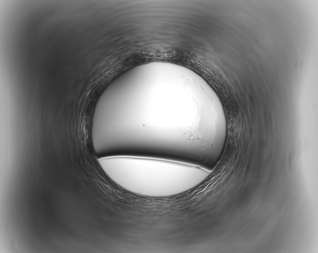 X0000096431058200801241019