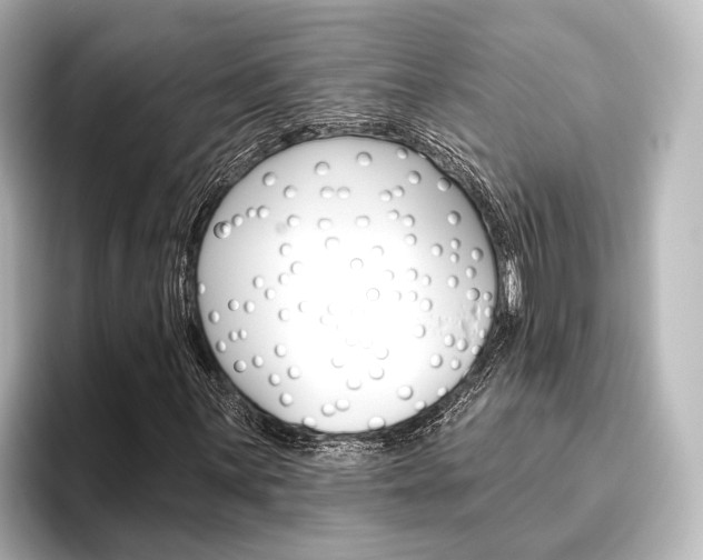 X0000096431059200801241019