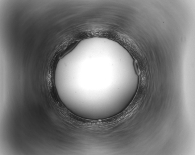 X0000096431060200801241019