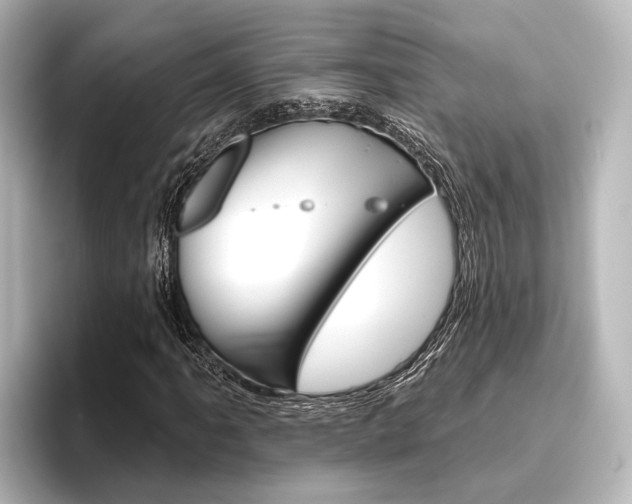 X0000096431061200801241019