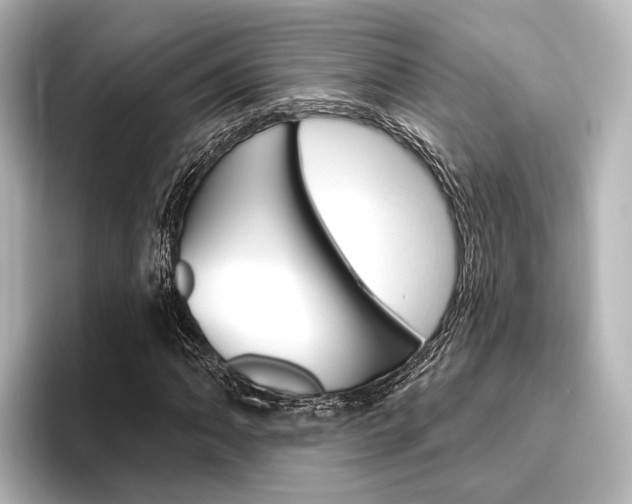 X0000096431062200801241019
