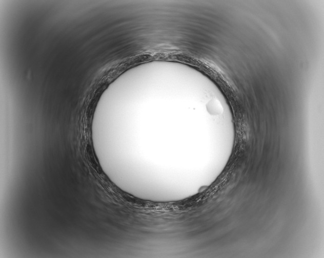 X0000096431063200801241019