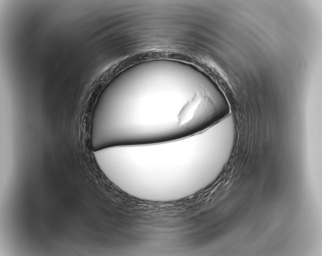 X0000096431064200801241019