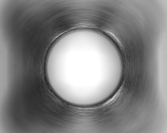 X0000096431065200801241019