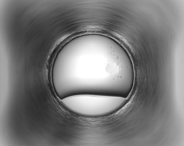 X0000096431066200801241019