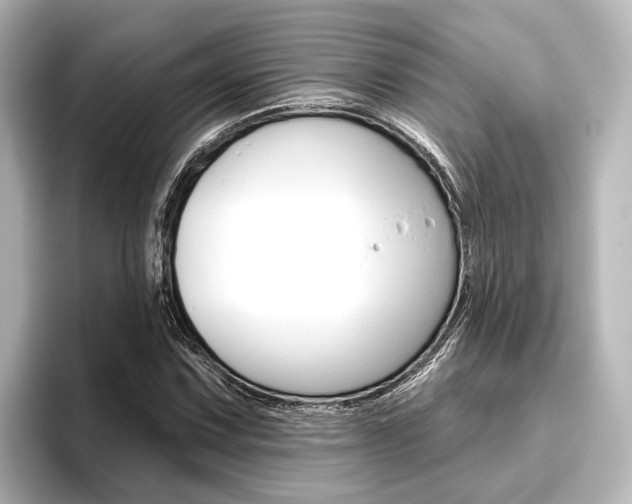 X0000096431067200801241019