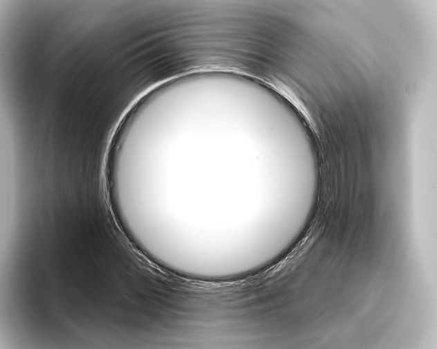 X0000096431068200801241019