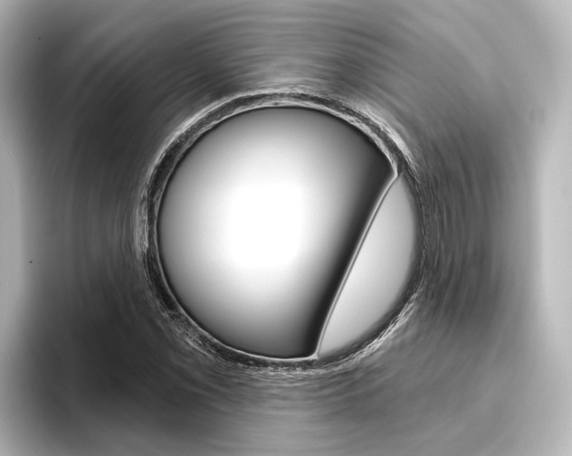 X0000096431069200801241019