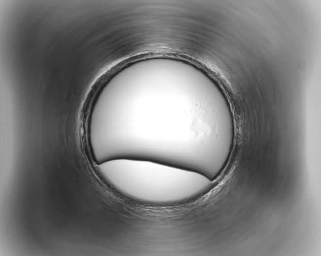 X0000096431070200801241019