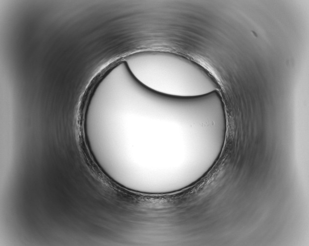 X0000096431071200801241019