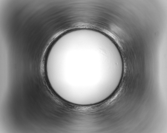 X0000096431074200801241019