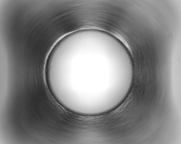 X0000096431076200801241019