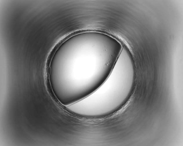 X0000096431077200801241019