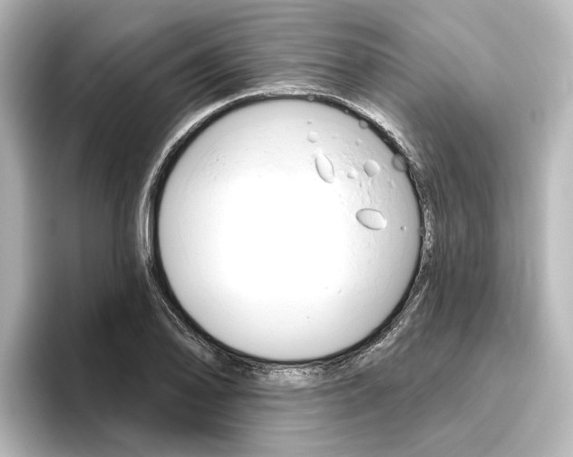 X0000096431078200801241019
