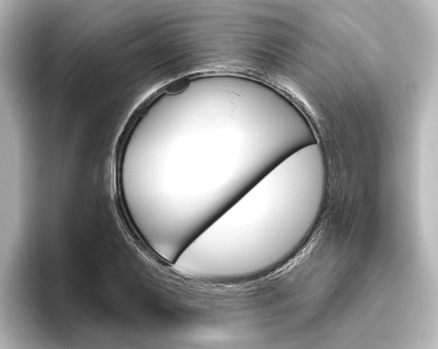 X0000096431079200801241019