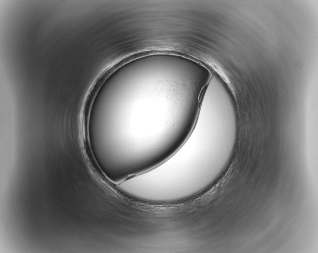 X0000096431080200801241019