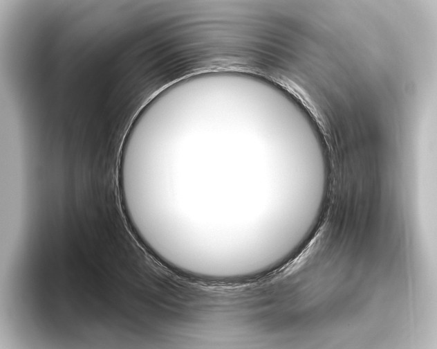 X0000096431081200801241019