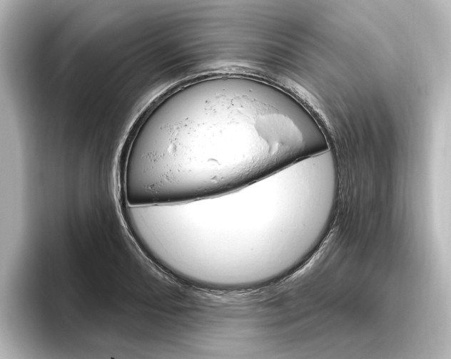 X0000096431082200801241019