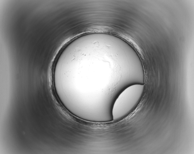 X0000096431083200801241019