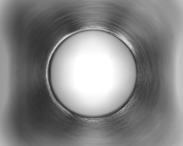 X0000096431084200801241019