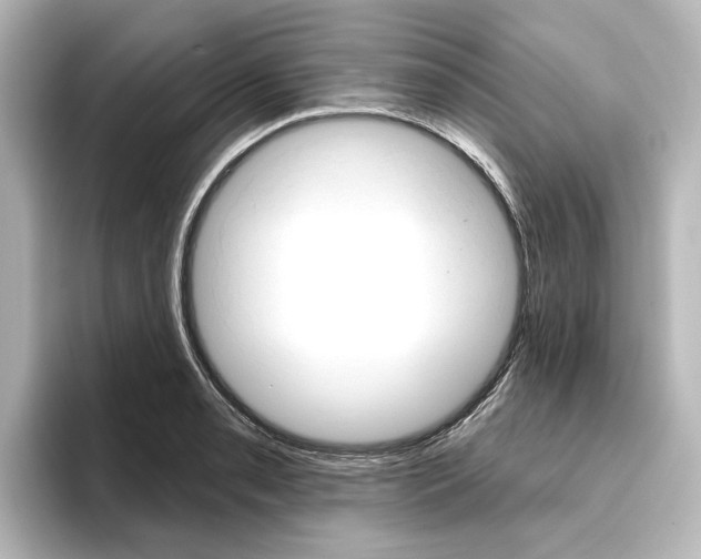 X0000096431085200801241019