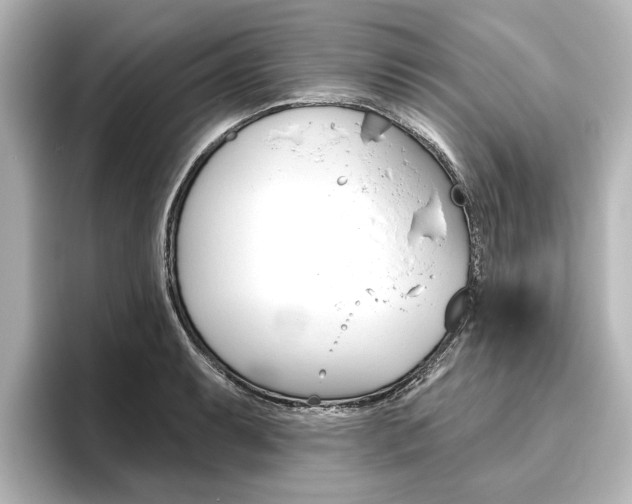 X0000096431087200801241019