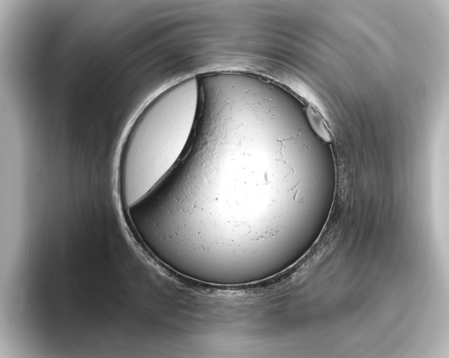 X0000096431088200801241019