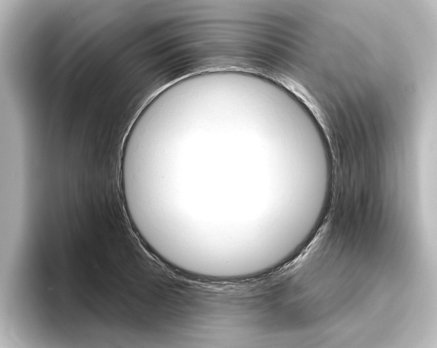 X0000096431089200801241019