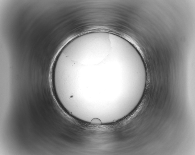 X0000096431090200801241019