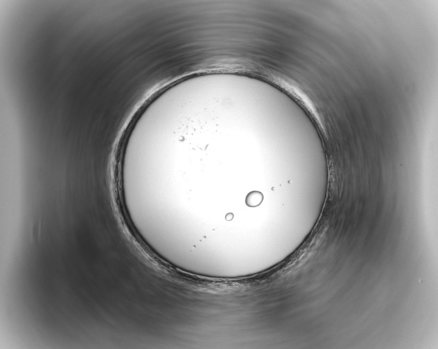 X0000096431091200801241019