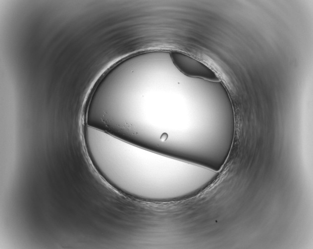 X0000096431092200801241019