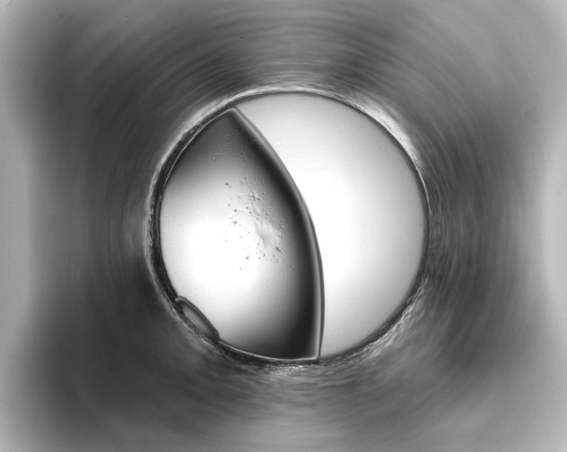 X0000096431093200801241019