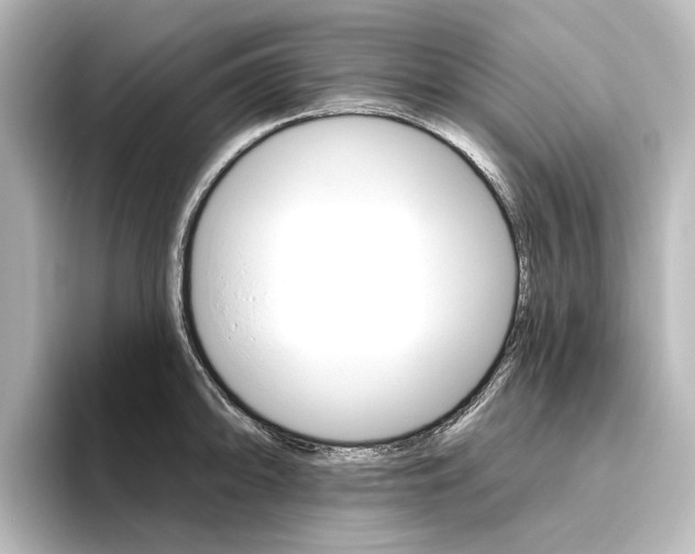 X0000096431094200801241019