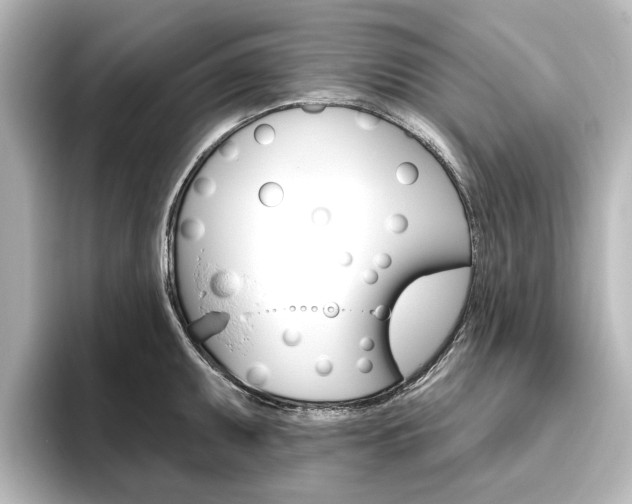 X0000096431095200801241019