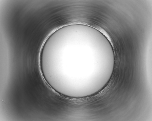X0000096431096200801241019