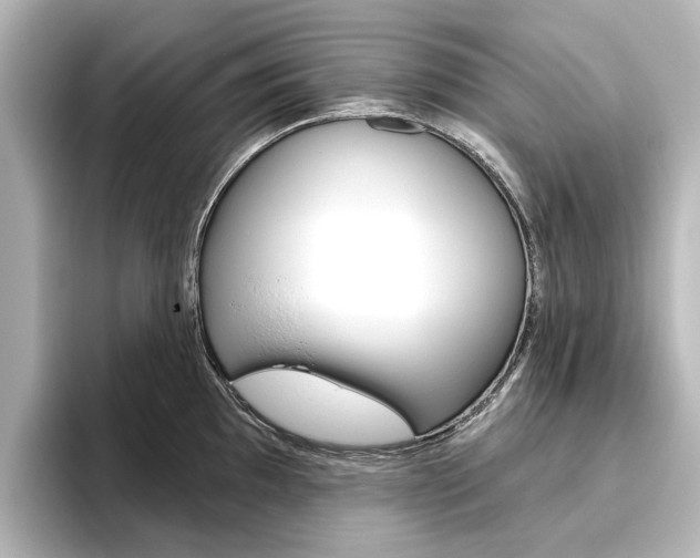 X0000096431097200801241019