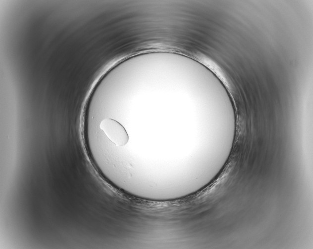 X0000096431098200801241019