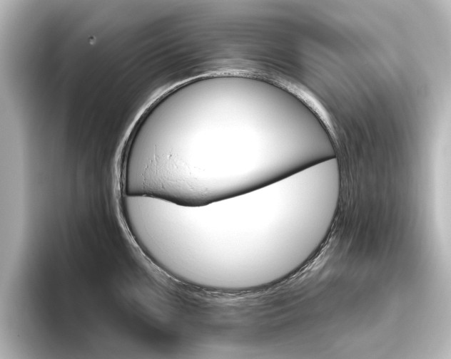 X0000096431099200801241018