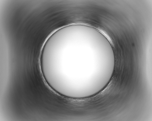 X0000096431100200801241018