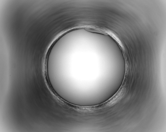 X0000096431101200801241018
