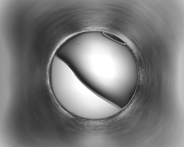 X0000096431102200801241018