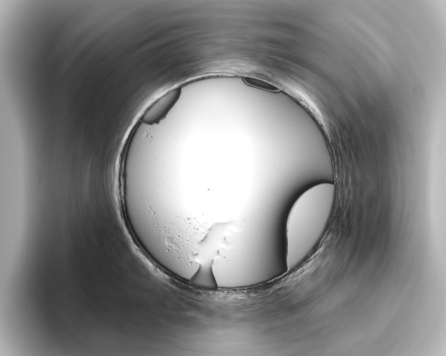X0000096431103200801241018