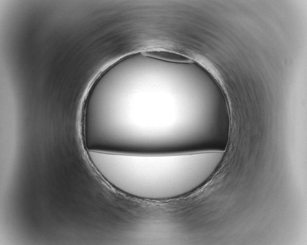 X0000096431104200801241018